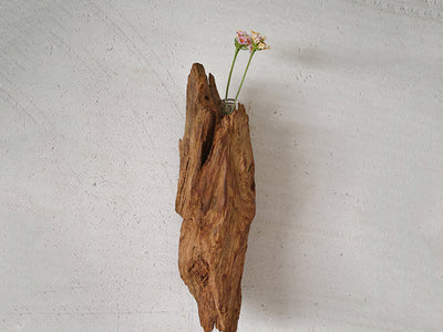 【総高24cm】屋久杉 花器 一輪挿し 壁掛け