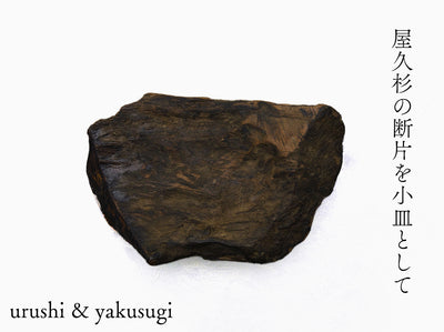 【横幅12cm】木の器|樹種:屋久杉 練り漆仕上げ