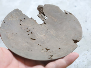 【直径13cm】4寸皿 朽ち木 栃 木の器