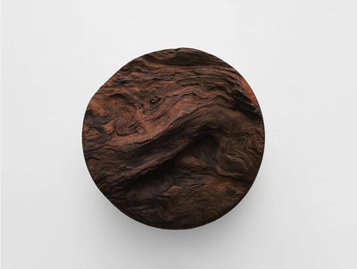 樹皮 蓋物