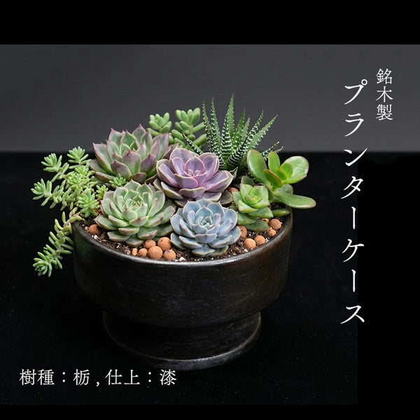 【径13cm】銘木製プランター  樹種：栃 , 仕上：拭き漆 / 旋盤挽き 雑貨 銘木小物 花器 プランターケース