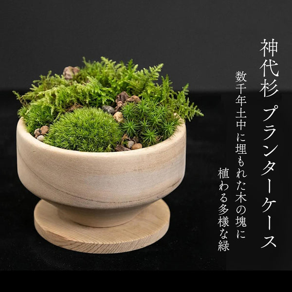 【径13cm】銘木製プランター  樹種：神代杉 , 仕上：木地仕上げ / 旋盤挽き 雑貨 銘木小物 花器 プランターケース