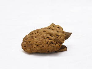 【総高6cm】木彫り 亀  樹種：硬質材（不明） /  かめ 置物 縁起物 ※画像現品像の発送です