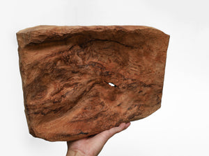【横幅28cm】屋久杉樹皮 油瘤 木の器  木地仕上げ｜名もなき器