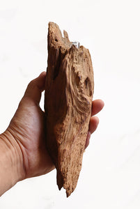 【総高24cm】屋久杉 花器 一輪挿し 壁掛け