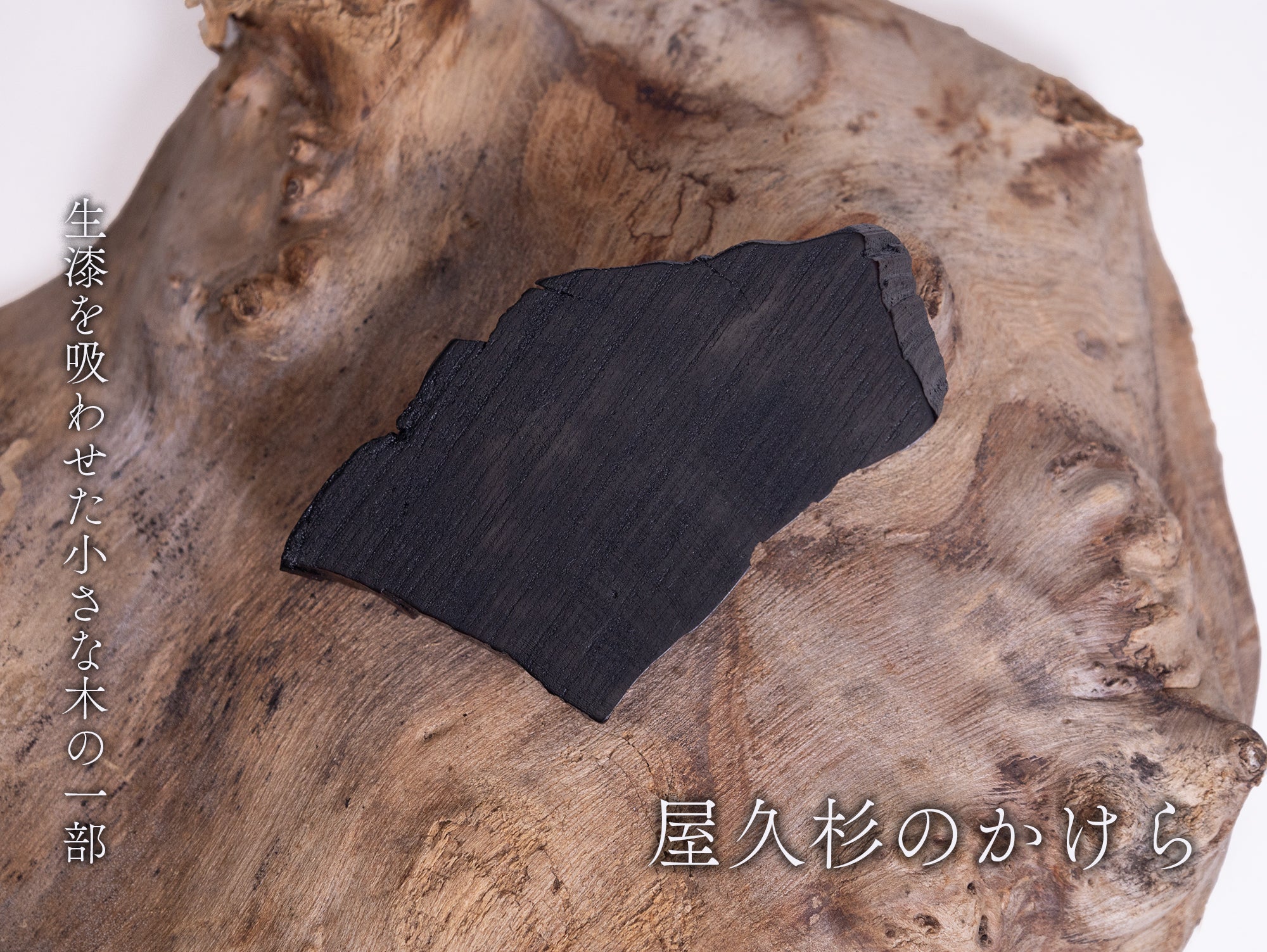 【横幅12cm】ミニ台｜屋久杉のかけら 拭き漆 / 敷板 朽ち木